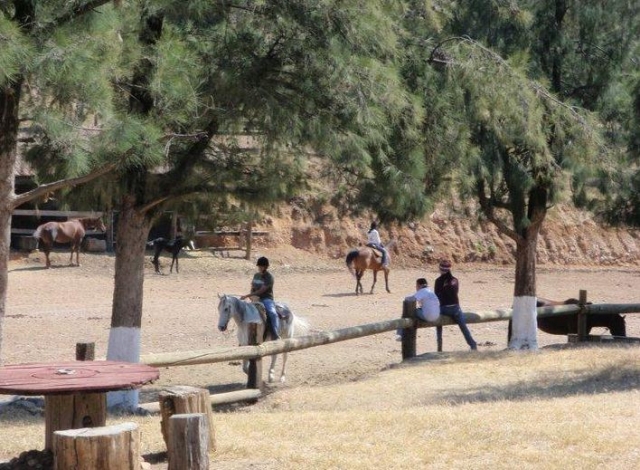 sobre el caballo
